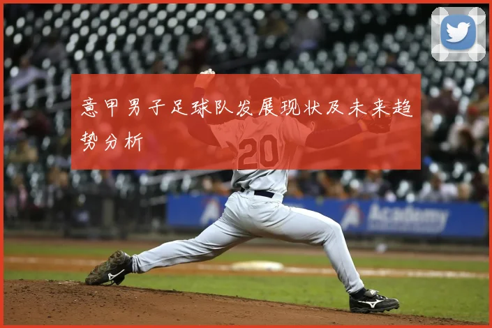 意甲男子足球队发展现状及未来趋势分析