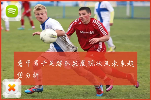 意甲男子足球队发展现状及未来趋势分析